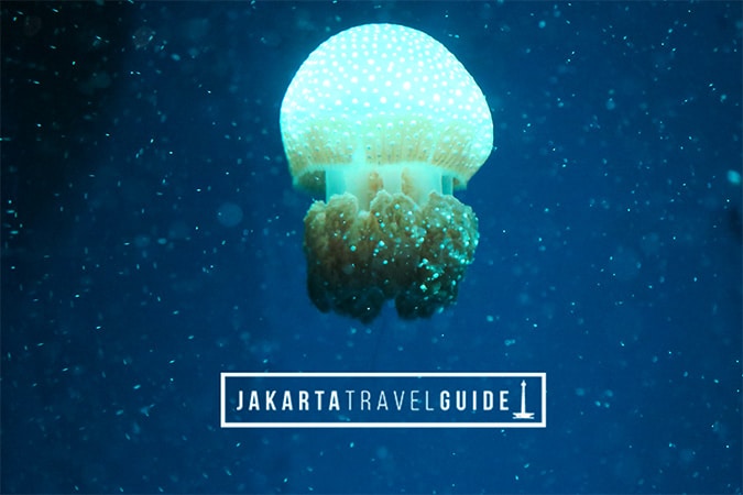 jakarta travel blogs