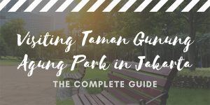Visiting Taman Gunung Agung Park in Jakarta - Jakarta Travel Guide